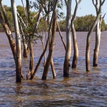 <b>Lake near Newman, Western Australia (Robin/Kalgoorlie)</b>