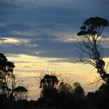 <b>Baxter, Nullarbor Plain, West Australia</b>