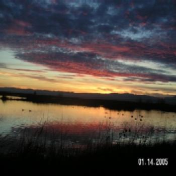<b>Sacramento Wildlife Refuge. Taken in Jan 05 by Keyan Bowes</b>