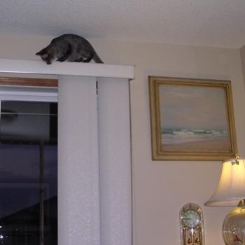 <b>OK, Now what an I supposed to do? (Bev. AB)</b>