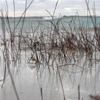 <b>Reedy beach, Geraldton, West Aust, - Wendy from Perth</b>
