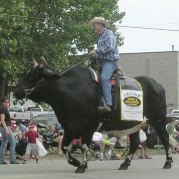 <b>My favourite "float" from the 2009 Beef & Barley Days Parade in Carstairs, Alberta -Bev/AB</b> <b>My favourite "float" from the 2009 Beef & Barley Days Parade in Carstairs, Alberta -Bev/AB</b>