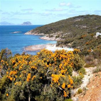 <b>Albany, Western Australia - Wendy from Perth</b>