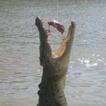 <b>Litchfield Park - jumping croc</b>