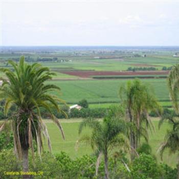 <b>Cane fields, Qld        Wendy/Perth</b>