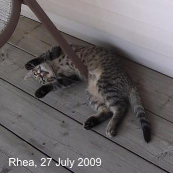 <b>It's too d*** hot! /Bev</b>