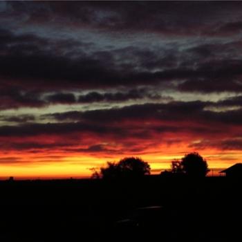 <b>A Carstairs morning. (Bev. AB)</b>