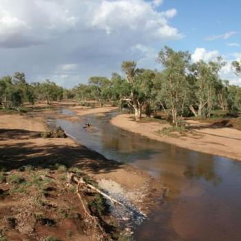<b>Todd River flowing in Alice Springs fi/nt</b>