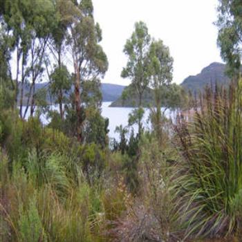 <b>Lake Pedder, Tasmania - Wendy/Perth</b>