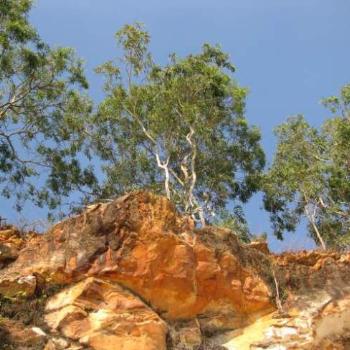 <b>The pleasures of a coastal walk fi/nt</b>