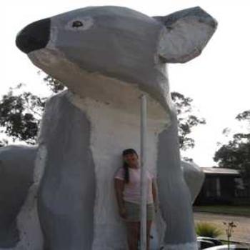 <b>Giant Koala (Phillip Island '09/LankyYank)</b>