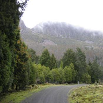 <b>Roadside near Lake Argyle, Kimberleyes, W.A. (Wendy/Perth)</b>