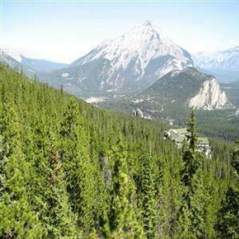 <b>Sulphur Mountain, Rockies, Canada, Wendy/Perth</b>