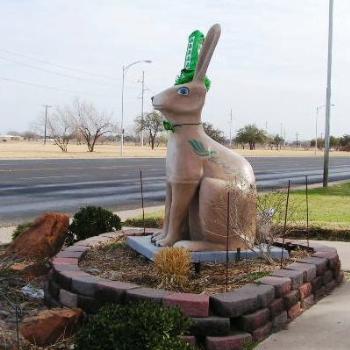 <b>Big Rabbit Odessa Texas,   Sue/OK</b>