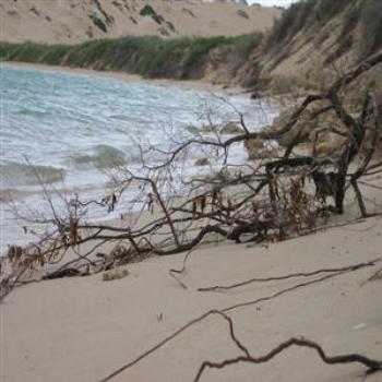 <b>Coral Bay, W.A. (Wendy/Perth)</b>