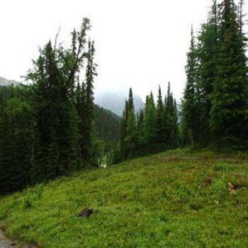 <b>Sunshine Meadows, Rocky Mts, Canada - Wendy/Perth</b>