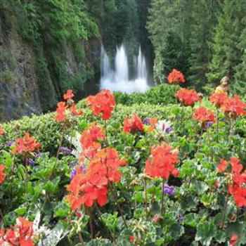 <b>Butchart Gdns, Vancouver Island, Canada - Wendy/Perth</b>