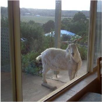 <b>Can I come in?</b>