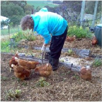 <b>Obstructing the gardening</b>