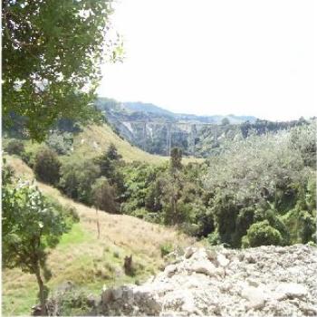 <b>Viaduct, NZ</b>