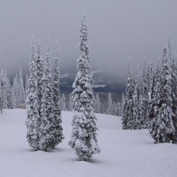 <b>"Snow Ghosts" in the clouds - Silver Star, British Columbia, January 2010</b> <b>"Snow Ghosts" in the clouds - Silver Star, British Columbia, January 2010</b>