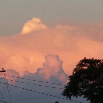 <b>Epping Sunset.(June)</b>