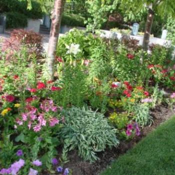 <b>Salt Lake City Temple flower garden, June 2010 by Wilodene</b>