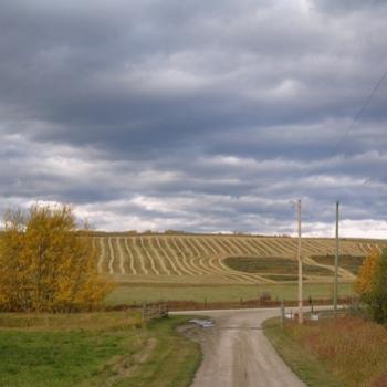 <b>Harvest season - 2010</b>