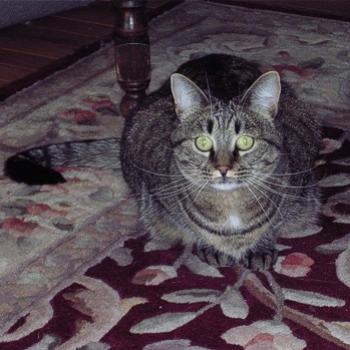 <b>Rhea - Sep. 2010 - Look at my long, long whiskers!</b>