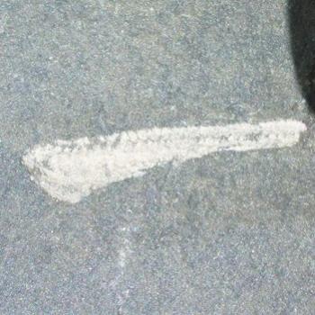 <b>Fossil on a mountain top, Lake Louise - Bev, AB</b>