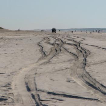 <b>4wd tracks, 80 Mile Beach, Kimberleys, W.A., Wendy/Perth</b>