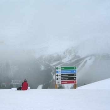 <b>Larch area through the mist, Lake Louise - Bev, AB</b>