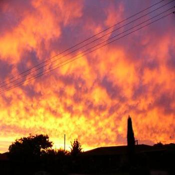 <b>Sunset in Albany 9 Nov 2010 (Anne)</b>