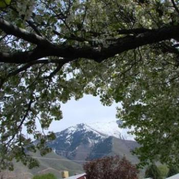 <b>Front Porch View in Mapleton Utah by Wilodene</b>