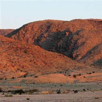 <b>Red Desert Morning</b>