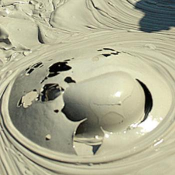 <b>A Mud Bubble Poping</b>
