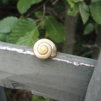 <b>Snail shell on a fence in Versailles gardens - Aug-2008 Anne-Dundas/Sydney</b> <b>Snail shell on a fence in Versailles gardens - Aug-2008 Anne-Dundas/Sydney</b>