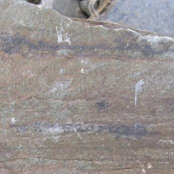 <b>Fossil on a mountain top, Lake Louise, AB - Bev, Ab</b>