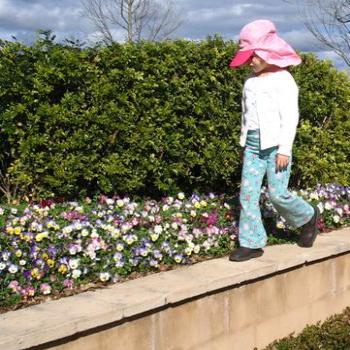 <b>Winter Colour - Hunter Valley Gardens</b>