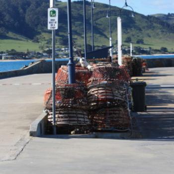 <b>6338 lobster pots, Apollo Bay, GORd, Victoria, 26th Oct'09 Kate/Sydney</b> <b>6338 lobster pots, Apollo Bay, GORd, Victoria, 26th Oct'09 Kate/Sydney</b>