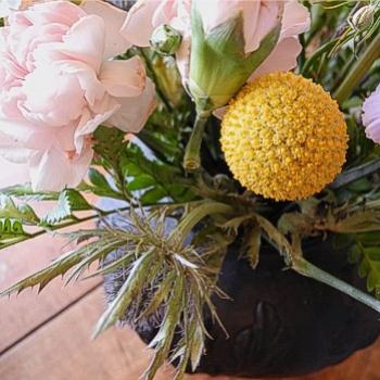 <b>Does anyone know what the yellow flower is? - Bev, AB</b>