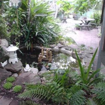 <b>back pond ... jolie</b>