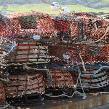 <b>6339 lobster pots, Apollo Bay, GORd, Victoria, 26th Oct'09 Kate/Sydney</b> <b>6339 lobster pots, Apollo Bay, GORd, Victoria, 26th Oct'09 Kate/Sydney</b>
