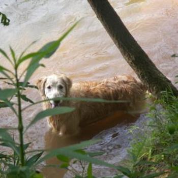 <b>Gretchen in the Chattahoochie (Atlanta, GA)</b>