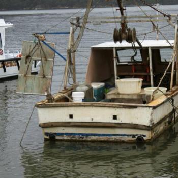<b>1835 trawler, Hawkesbury R, 24th Jan'10, Kate/Sydney</b>