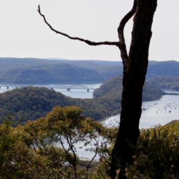 <b>0373 view east over the Hawkesbury, Muogamarra Nature Reserve, Hawkesbury R, NSW, 12th Sept'09, Kate/Sydney</b> <b>0373 view east over the Hawkesbury, Muogamarra Nature Reserve, Hawkesbury R, NSW, 12th Sept'09, Kate/Sydney</b>