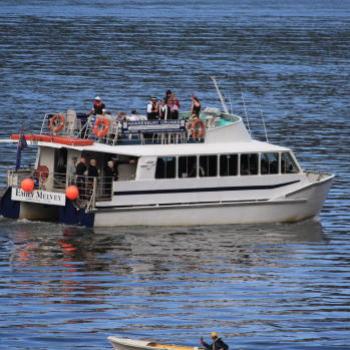 <b>8880 MV 'Emily Melvey' - fancy dress party, Hawkesbury River, 22nd Aug'09, Kate/Sydney</b> <b>8880 MV 'Emily Melvey' - fancy dress party, Hawkesbury River, 22nd Aug'09, Kate/Sydney</b>