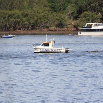 <b>1157 removing a large log, Hawkesbury R, 1st Jan'10, Kate/Sydney</b> <b>1157 removing a large log, Hawkesbury R, 1st Jan'10, Kate/Sydney</b>