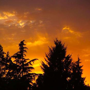 <b>sunset </b>