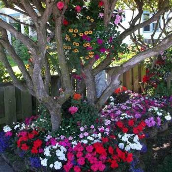 <b>flower basket in garden</b>